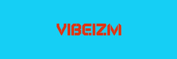VIBEIZM Logo