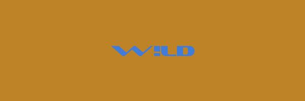 W!LD Logo