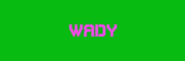 WADY Logo