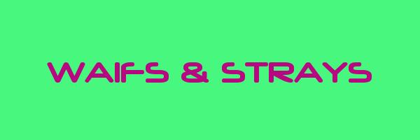 WAIFS & STRAYS Logo