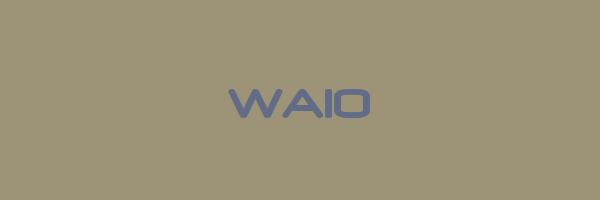 WAIO Logo