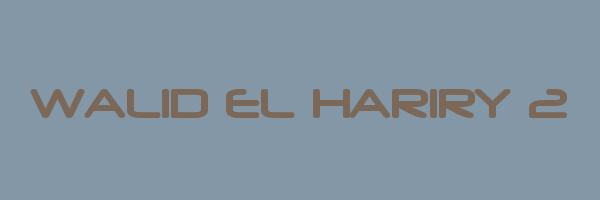 WALID EL HARIRY 2 Logo