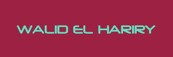 WALID EL HARIRY Logo