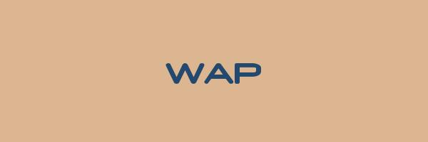 WAP Logo