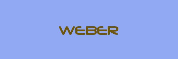WEBER Logo