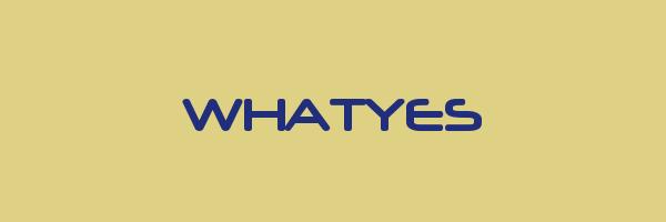 WHATYES Logo