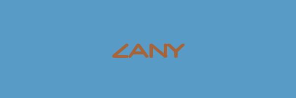 ZANY Logo