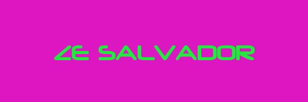 ZE SALVADOR Logo