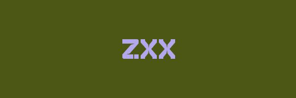 ZXX Logo