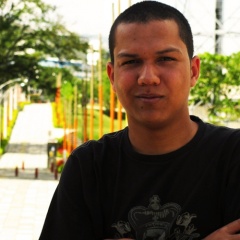 JOHAN DRESSER