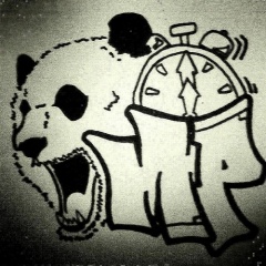 MIDNITE PANDA